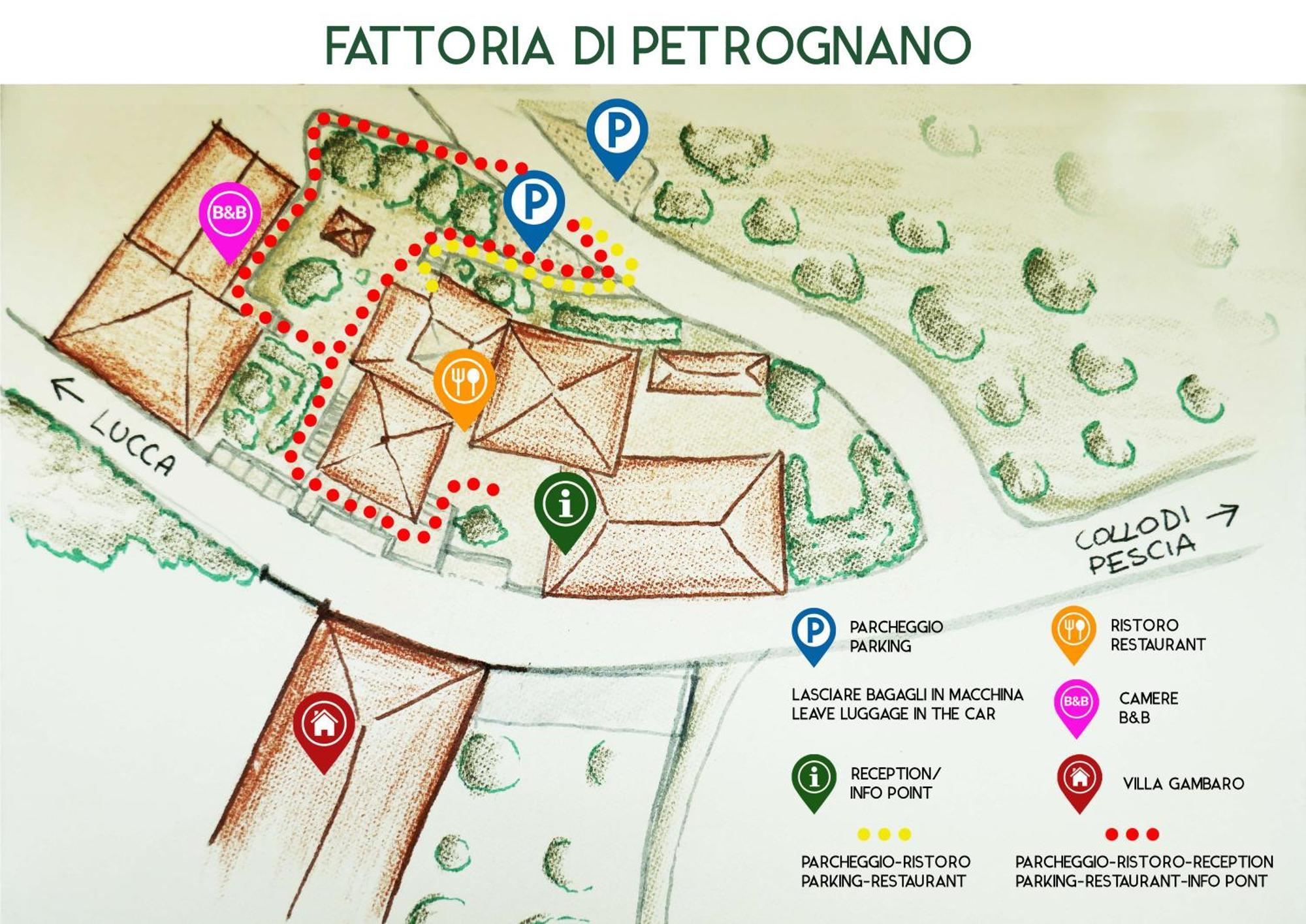 Villa Fattoria Gambaro Di Petrognano Collodi Exterior foto
